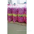 /msite/products/detail/productid/57631163/id/677584.html
